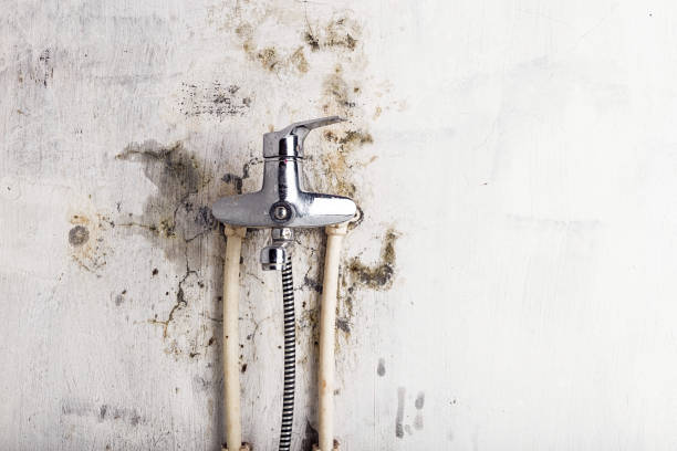 Best Residential Mold Removal  in Deatsville, AL