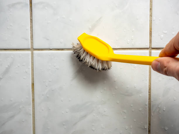 Best Best Mold Removal Companies  in Deatsville, AL