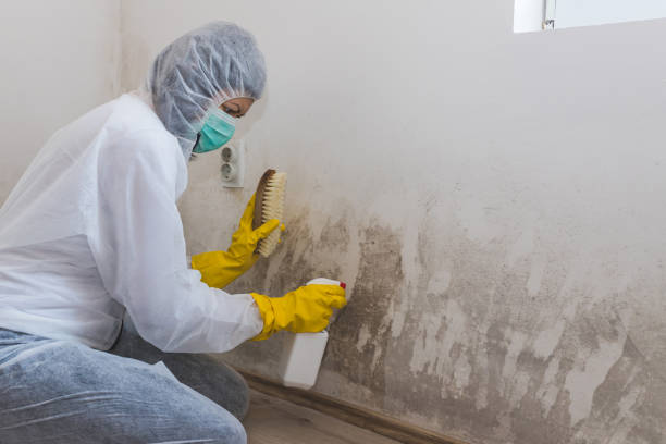 Crawl Space Mold Removal in Deatsville, AL