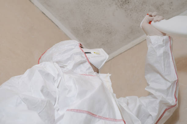 Best Office Mold Removal Services  in Deatsville, AL
