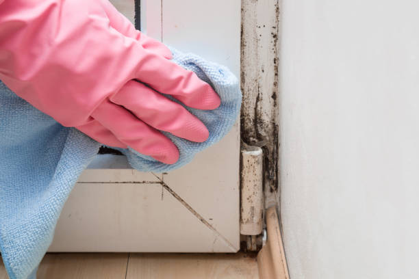 Best Office Mold Removal Services  in Deatsville, AL